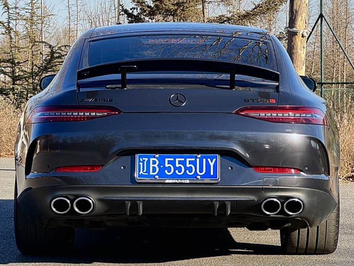 奔馳 奔馳AMG GT  2020款 AMG GT 53 4MATIC+ 四門跑車圖片