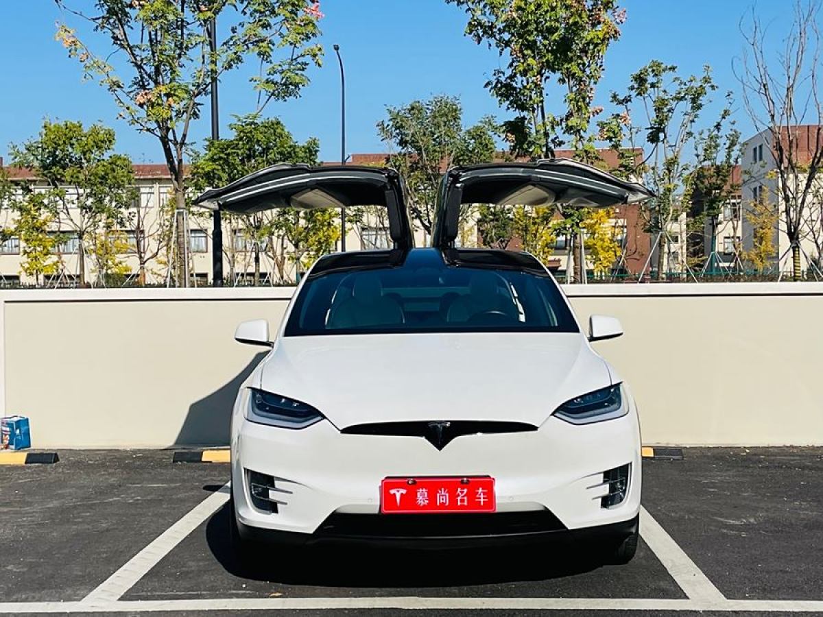 特斯拉 Model X  2019款 長續(xù)航版圖片