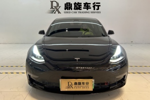 Model 3 特斯拉 2020款 長續(xù)航后輪驅(qū)動版