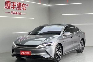 漢 比亞迪 EV 標準續(xù)航版豪華型