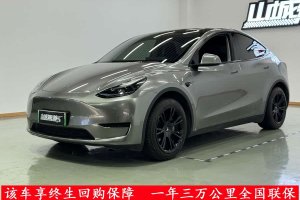 Model Y 特斯拉 改款 后輪驅(qū)動(dòng)版