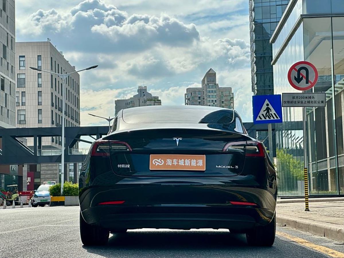 特斯拉 Model 3  2019款 標(biāo)準(zhǔn)續(xù)航后驅(qū)升級版圖片