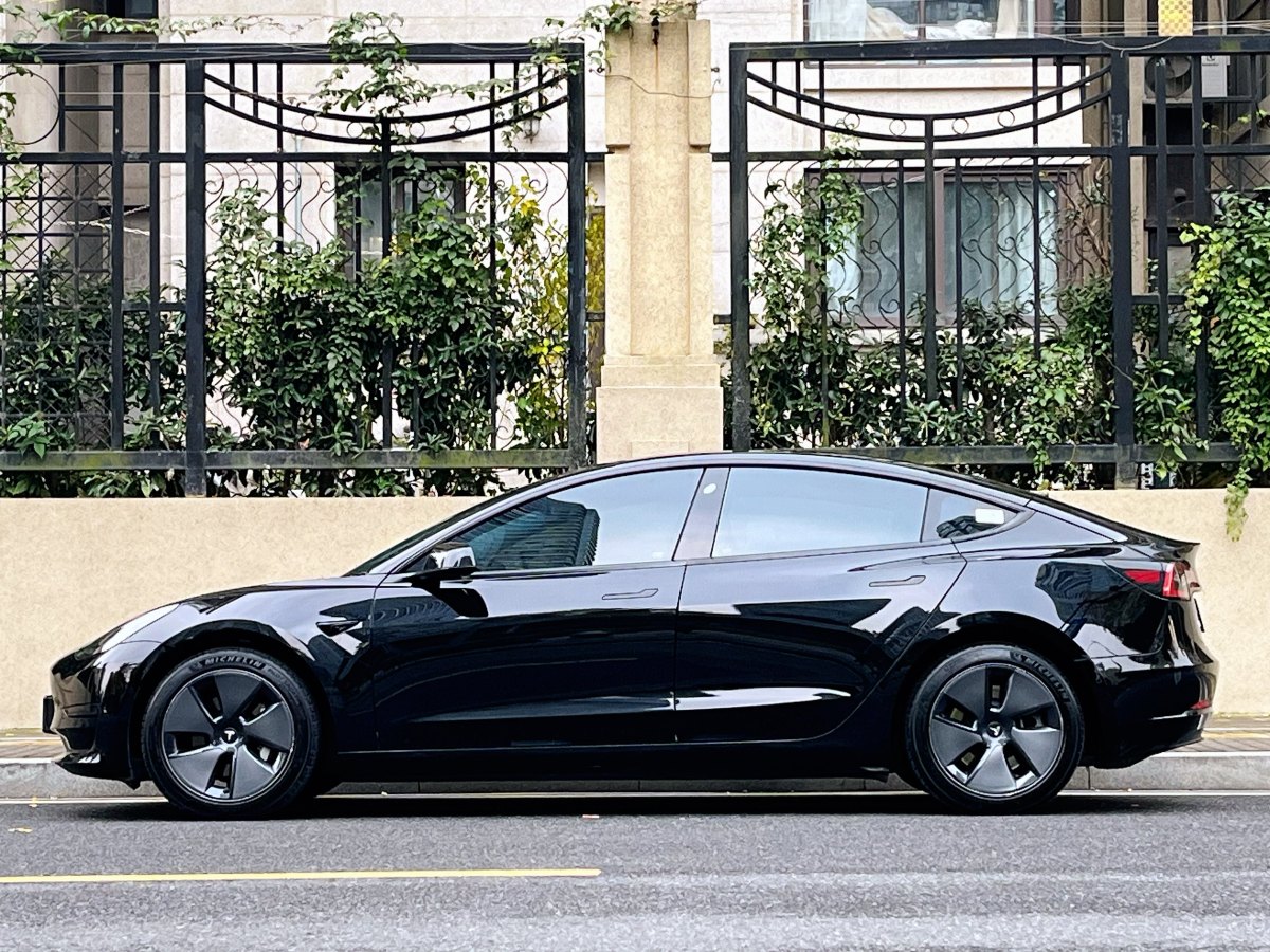 特斯拉 Model 3  2019款 標(biāo)準(zhǔn)續(xù)航后驅(qū)升級版圖片