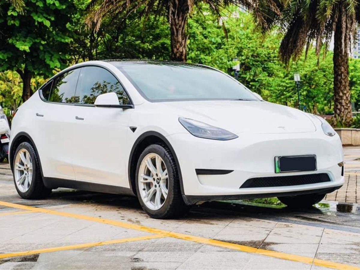 特斯拉 Model Y  2022款 改款 后輪驅(qū)動版圖片