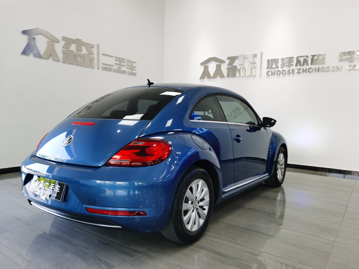 2019年1月大眾 甲殼蟲  2018款 180TSI 宜樂型