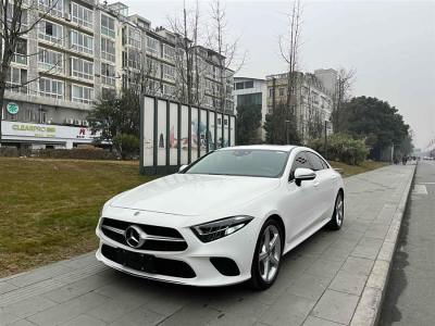 2019年2月 奔馳 奔馳CLS級(進口) CLS 300 動感型圖片