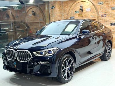 2020年4月 寶馬 寶馬X6(進(jìn)口) xDrive40i 尊享型 M運(yùn)動套裝圖片