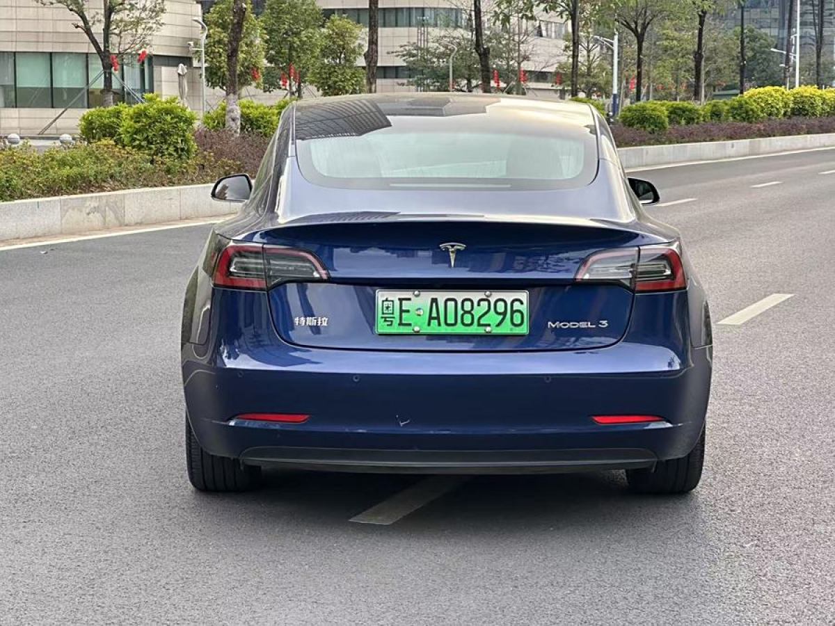 特斯拉 Model 3  2019款 標(biāo)準(zhǔn)續(xù)航后驅(qū)升級版圖片