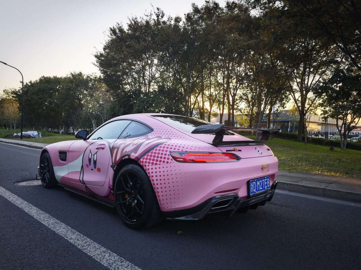 奔馳 奔馳AMG GT  2019款 AMG GT圖片