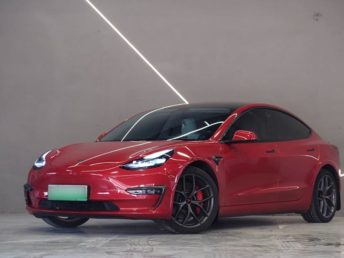 2021年4月特斯拉 Model 3  2021款 改款 Performance高性能全輪驅(qū)動版