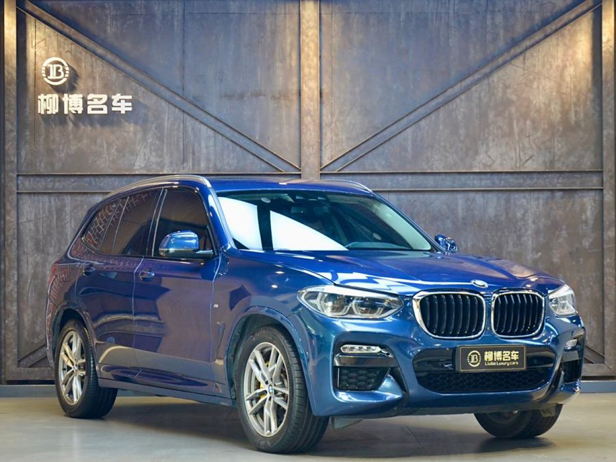 寶馬 寶馬X3  2018款 xDrive30i 領(lǐng)先型 M運(yùn)動(dòng)套裝 國(guó)V圖片