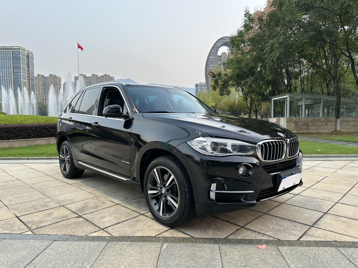 寶馬 寶馬X5  2017款 xDrive35i 典雅型圖片