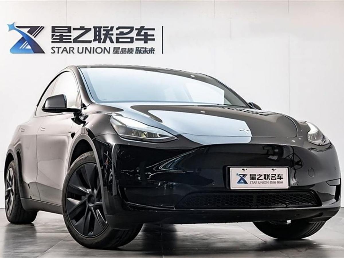 特斯拉 Model 3  2020款 改款 長續(xù)航后輪驅動版圖片