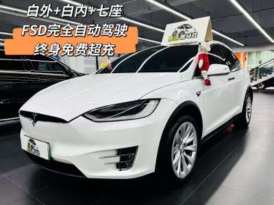 2019年10月 特斯拉 Model X Model X 100D 長續(xù)航版圖片