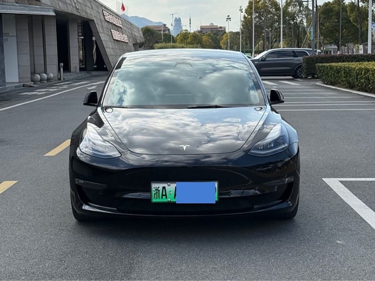 特斯拉 Model Y  2022款 Performance高性能全輪驅(qū)動版圖片