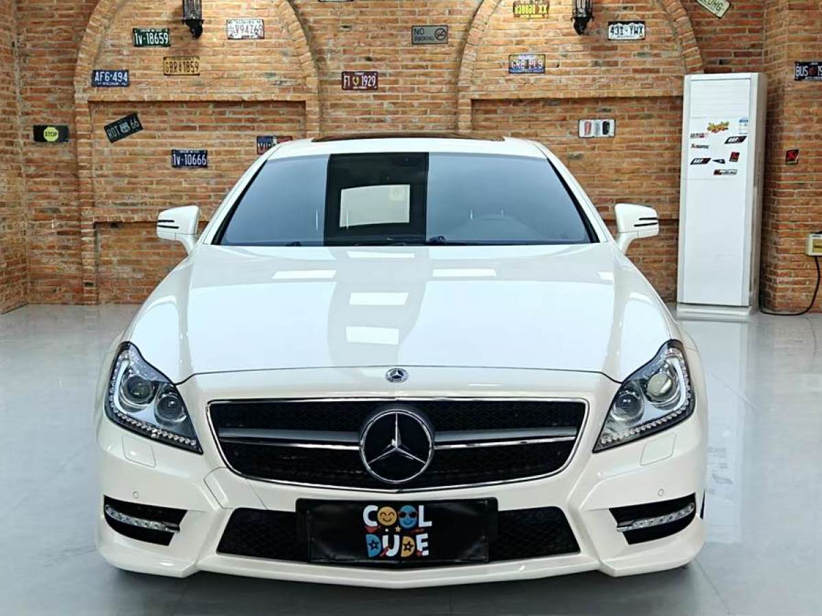 奔馳 奔馳CLS級(jí)  2012款 CLS 300 CGI圖片