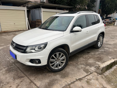 2012年6月 大眾 Tiguan(進(jìn)口) 2.0TSI 豪華版圖片