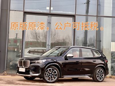 2024年1月 寶馬 寶馬iX1 xDrive30L X設(shè)計套裝圖片