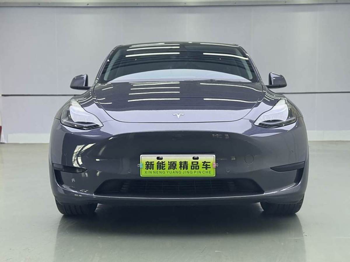 特斯拉 Model 3  2022款 后輪驅(qū)動版圖片