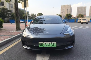 Model 3 特斯拉 标准续航后驱升级版