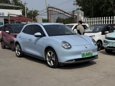 2022年1月 歐拉 歐拉好貓 莫蘭迪版 400km標(biāo)準(zhǔn)續(xù)航 尊貴型 磷酸鐵鋰圖片