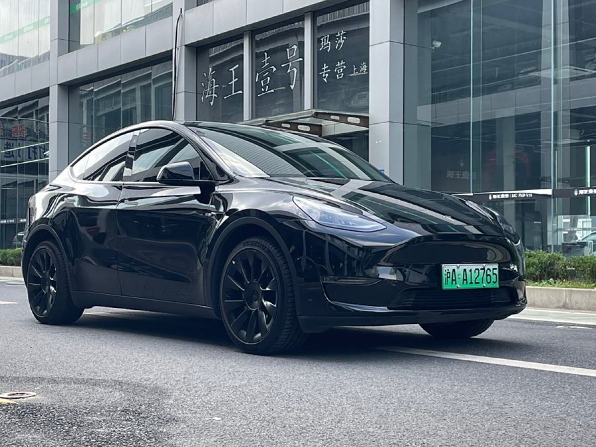 特斯拉 Model Y  2021款 改款 標(biāo)準(zhǔn)續(xù)航后驅(qū)升級(jí)版圖片