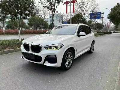 寶馬 寶馬X3 xDrive25i M運(yùn)動套裝 國V圖片