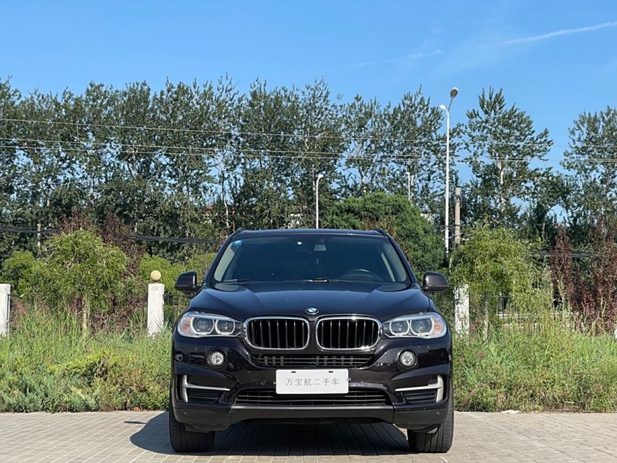 寶馬 寶馬X5  2014款 xDrive35i 領(lǐng)先型圖片