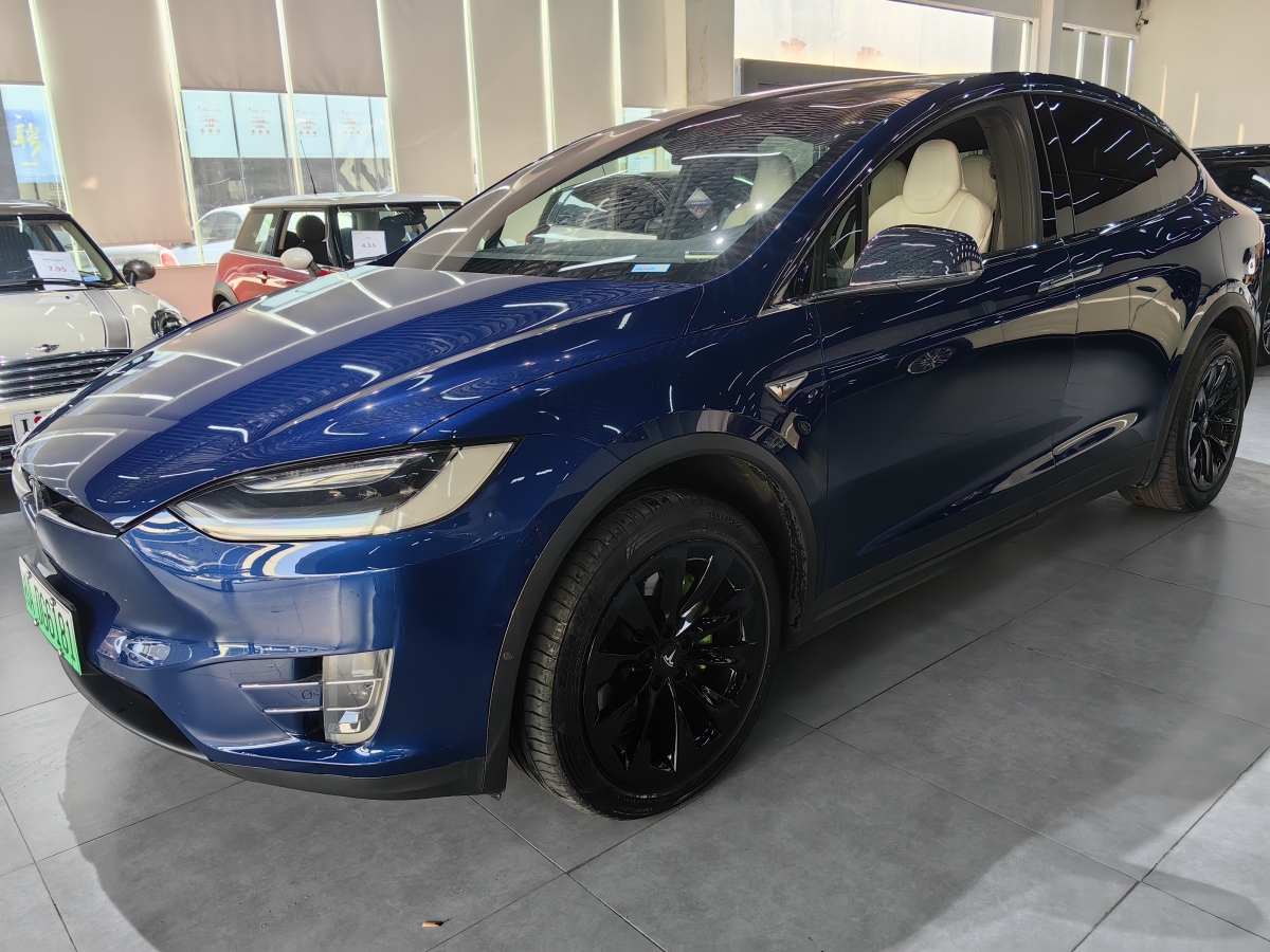 特斯拉 Model X  2016款 Model X 75D圖片