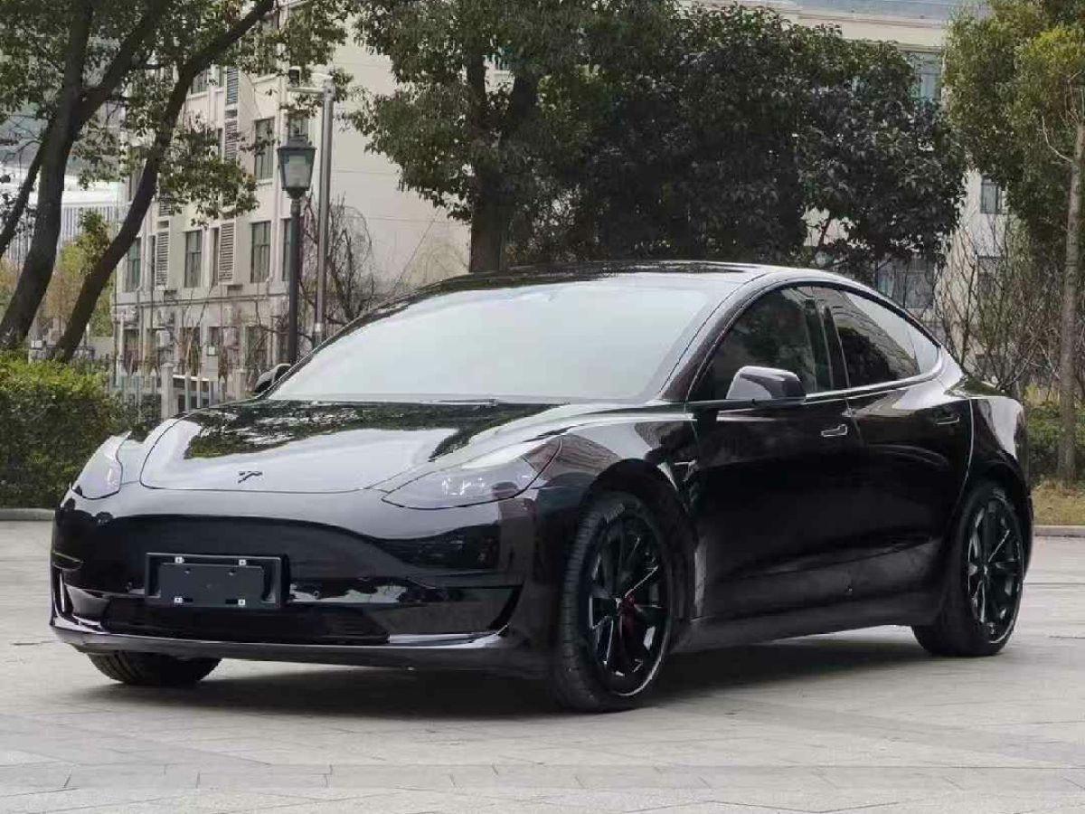 特斯拉 Model S  2023款 三電機(jī)全輪驅(qū)動(dòng) Plaid版圖片