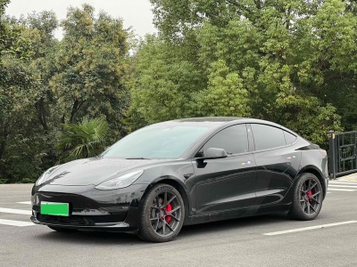 2022年02月 特斯拉 Model 3 Performance高性能全轮驱动版图片