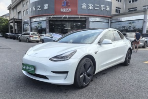 Model 3 特斯拉 标准续航后驱升级版