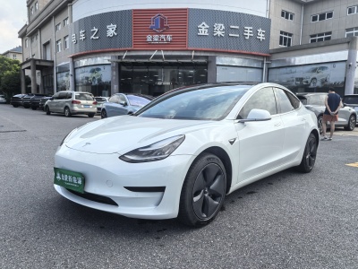 2020年4月 特斯拉 Model 3 標(biāo)準(zhǔn)續(xù)航后驅(qū)升級版圖片