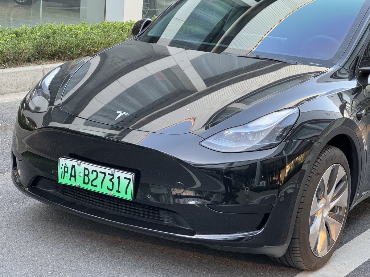 特斯拉 Model Y  2020款 改款 長(zhǎng)續(xù)航后輪驅(qū)動(dòng)版圖片