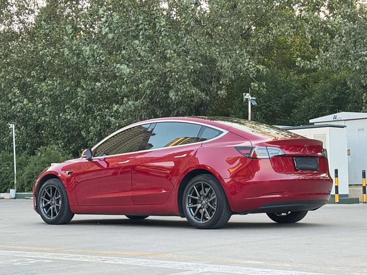 特斯拉 Model Y  2020款 改款 標準續(xù)航后驅升級版圖片