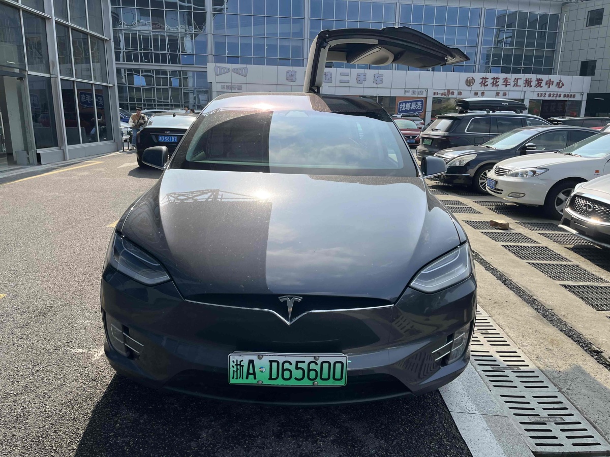 特斯拉 Model X  2017款 Model X 100D 長(zhǎng)續(xù)航版圖片