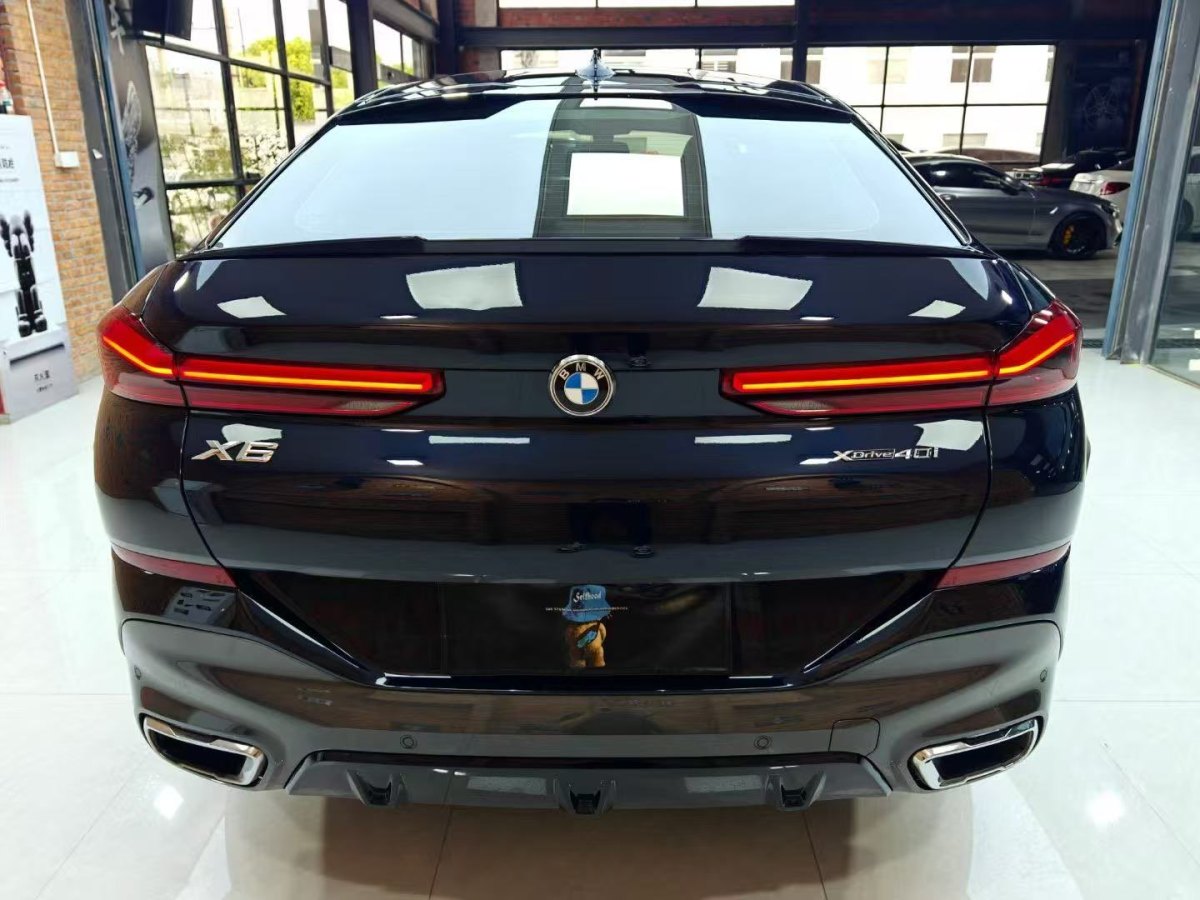 寶馬 寶馬X6  2020款 xDrive40i 尊享型 M運動套裝圖片
