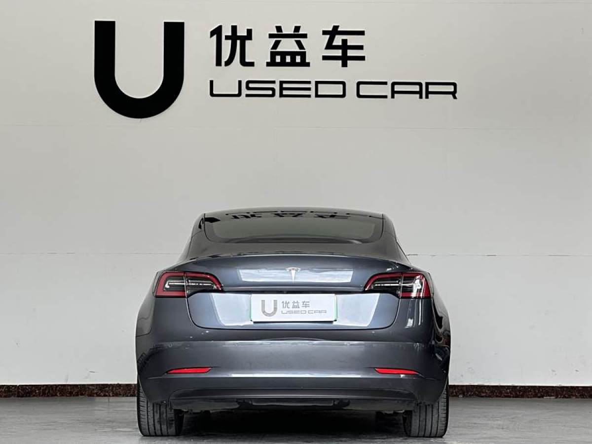 2020年4月特斯拉 Model 3  2019款 長續(xù)航后驅(qū)版