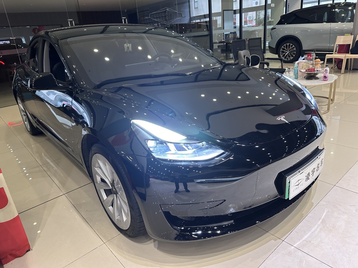 2021年4月特斯拉 Model 3  2019款 標(biāo)準(zhǔn)續(xù)航后驅(qū)升級版