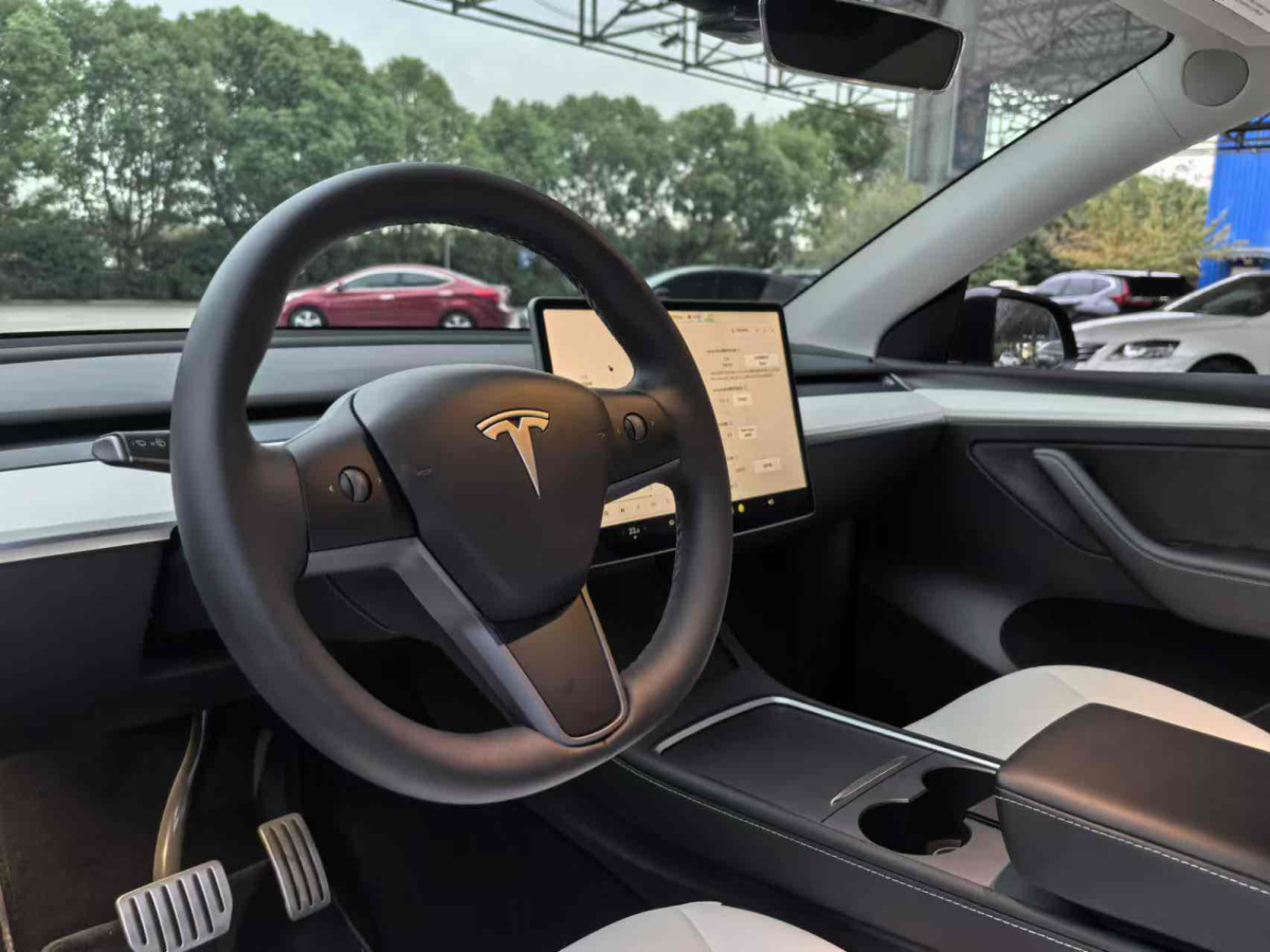 特斯拉 Model Y  2022款 Performance高性能全輪驅(qū)動版圖片