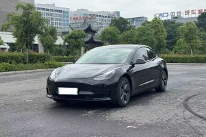 Model 3 特斯拉 改款 標準續(xù)航后驅(qū)升級版