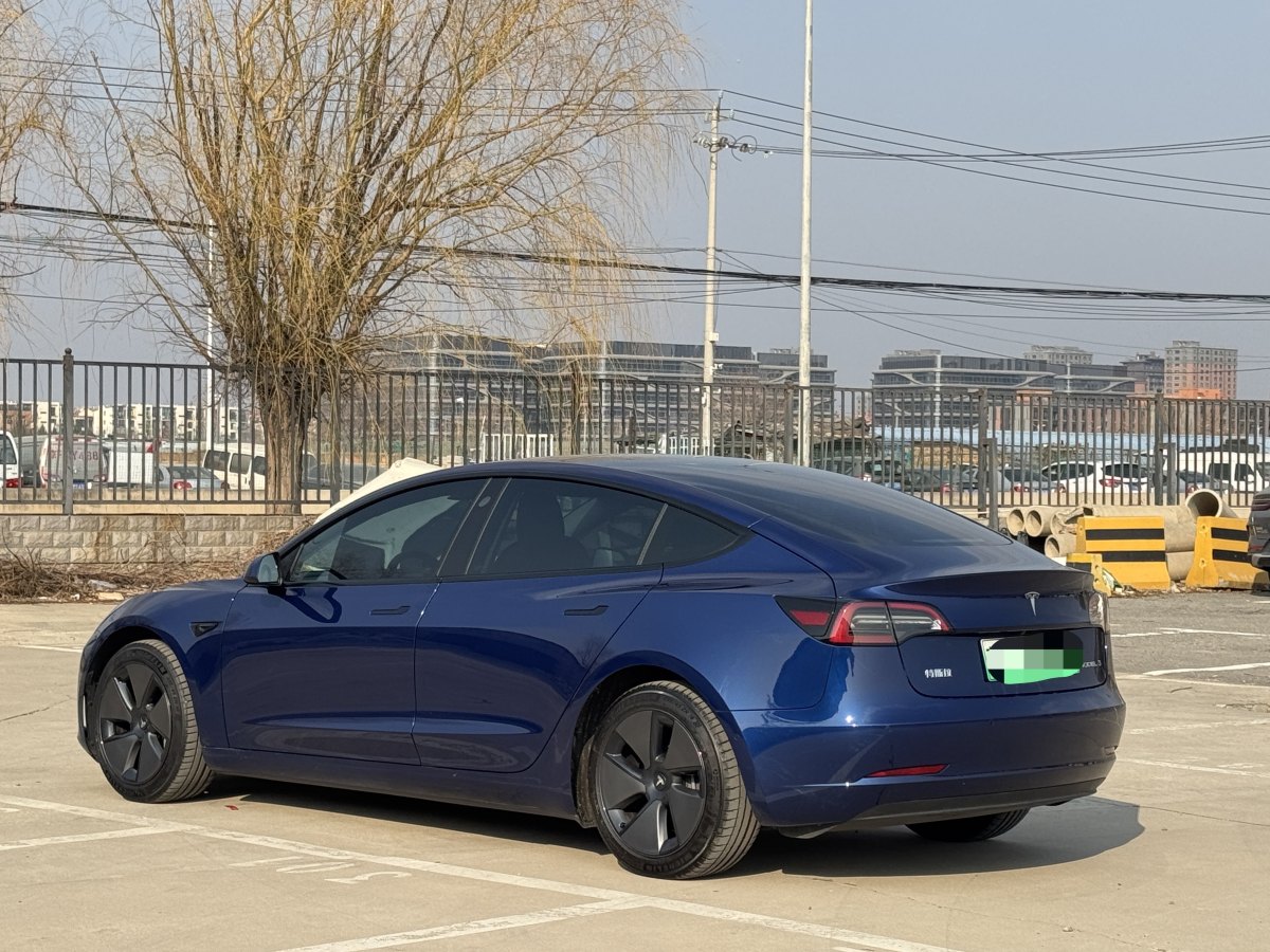 特斯拉 Model 3  2019款 標(biāo)準(zhǔn)續(xù)航后驅(qū)升級(jí)版圖片