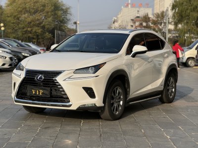 2018年11月 雷克薩斯 NX 300h 前驅(qū) 鋒尚版圖片