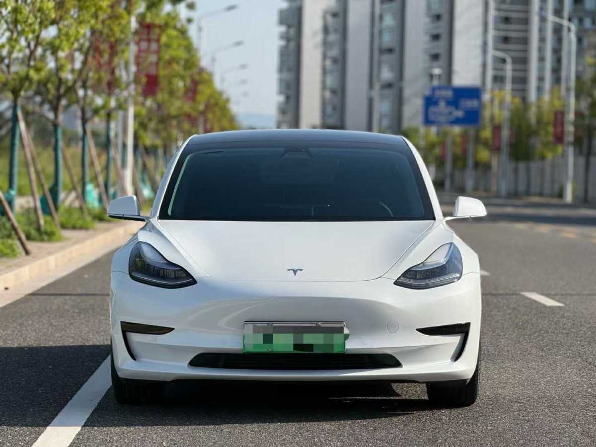 2021年1月特斯拉 Model Y  2020款 改款 標(biāo)準(zhǔn)續(xù)航后驅(qū)升級(jí)版