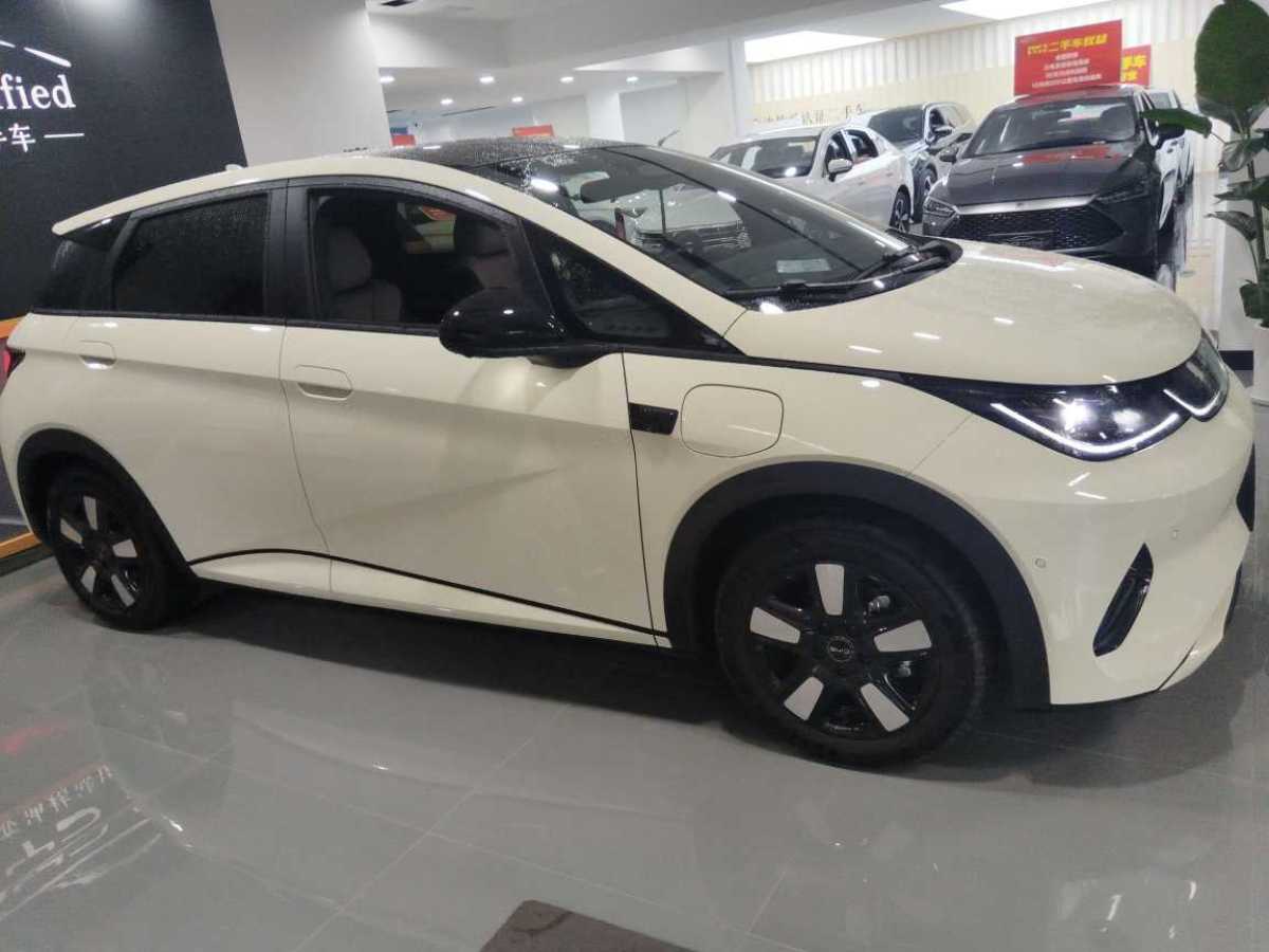 比亞迪 海豚  2025款 智駕版 410km 時(shí)尚版圖片