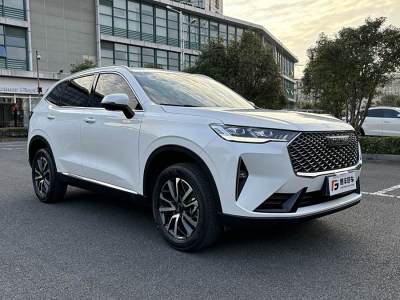 2023年3月 哈弗 H6 第三代 1.5T 自動兩驅(qū)Pro圖片