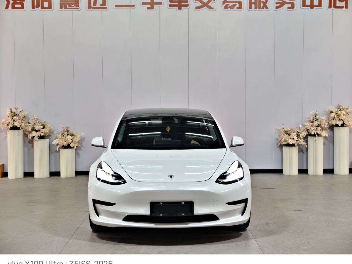 特斯拉 Model 3  2020款 改款 長續(xù)航后輪驅動版圖片