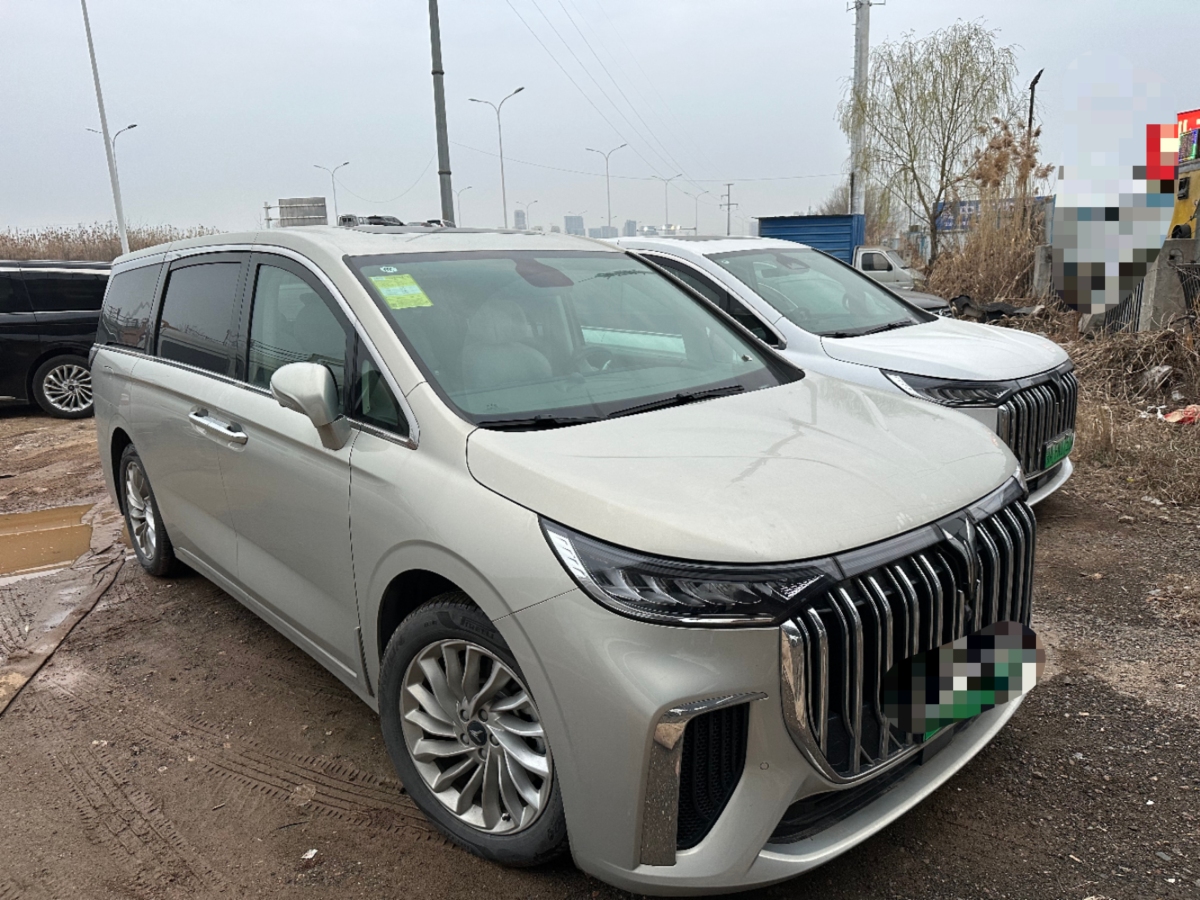 嵐圖 夢想家  2024款 PHEV 超長續(xù)航卓越版圖片