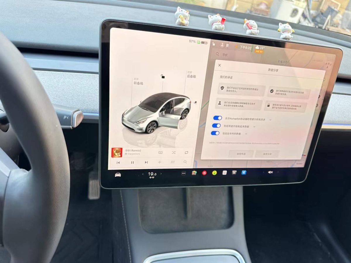 特斯拉 Model Y  2024款 Performance高性能版圖片