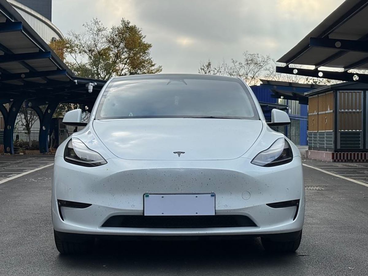 特斯拉 Model 3  2021款 改款 標(biāo)準(zhǔn)續(xù)航后驅(qū)升級版圖片